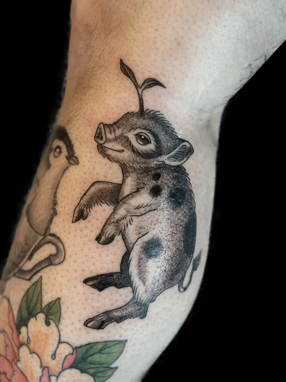 Spotted piglet with a sprouting leaf tattoo, on the calf